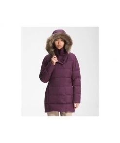 Women's New Dealio Down Parka By The North Face